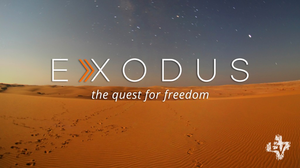 Genesis: The Beginning