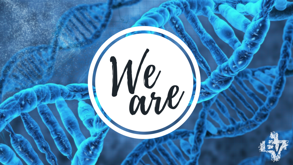 Genesis: The Beginning