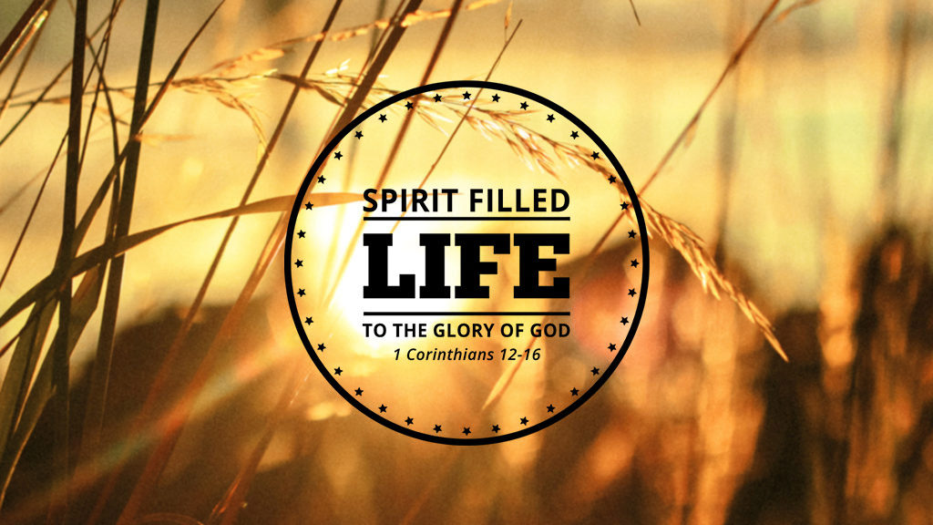 Genesis: The Beginning