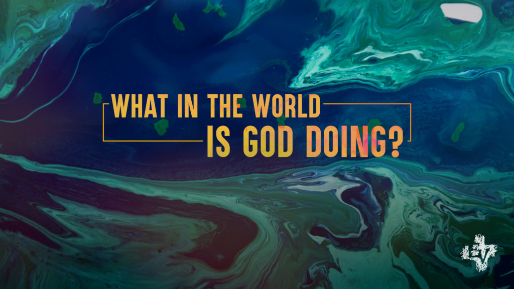 Genesis: The Beginning